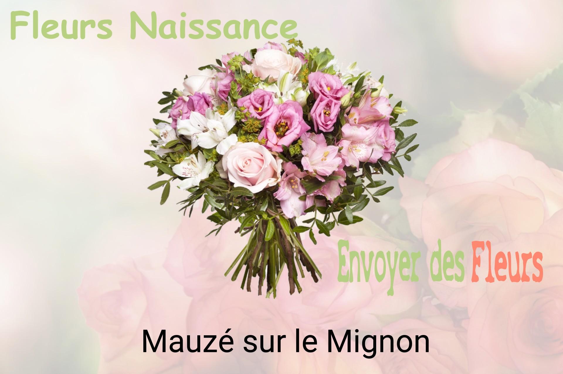 Bouquet de fleurs de naissance livré à Mauzé-sur-le-Mignon