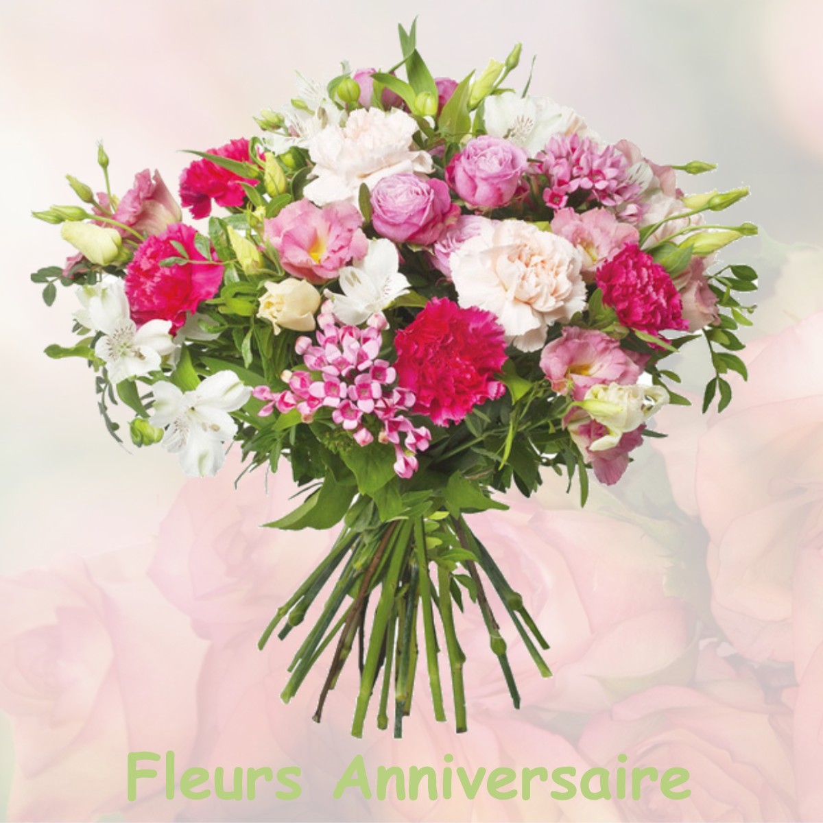 fleurs anniversaire MAUZE-SUR-LE-MIGNON